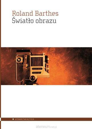 Światło obrazu. Uwagi o fotografii