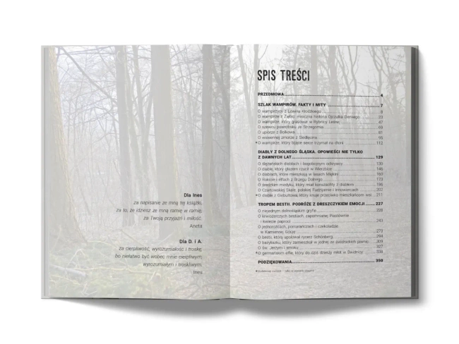 Mroczne tajemnice Dolnego Śląska. Przewodnik po miejscach, które żyją sekretami do dziś