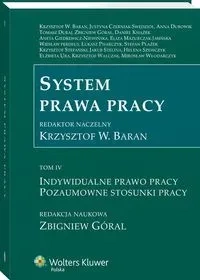 System prawa pracy Tom 4