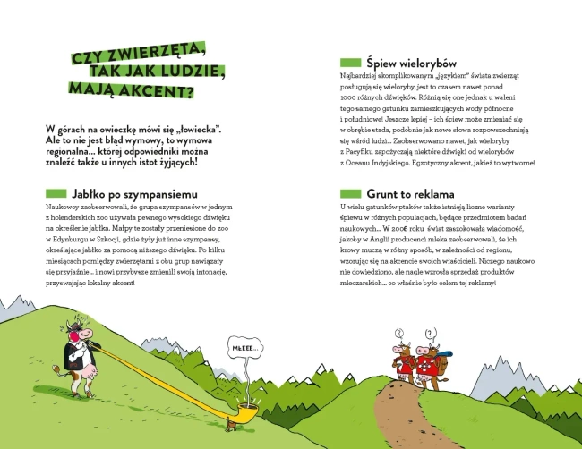 100 głupich porównań dla bystrzaków