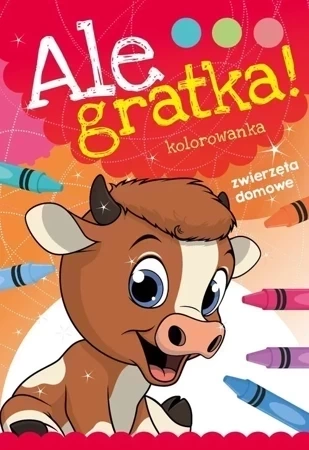 Zwierzęta domowe ale gratka