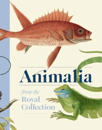 Animalia wer. angielska
