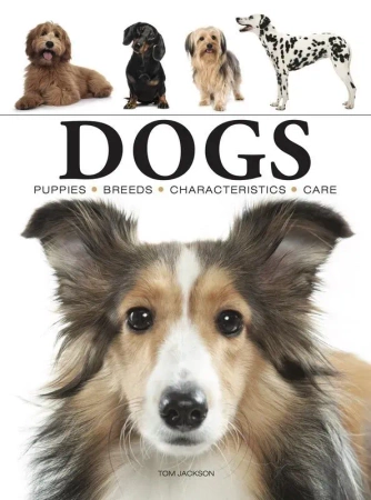 Dogs wer. angielska