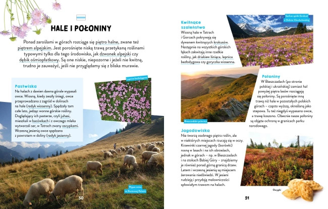 Młodzi przyrodnicy Na szlaku W górach