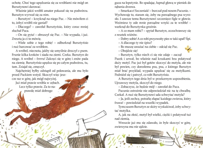 Puc, Bursztyn i goście wyd. 2020