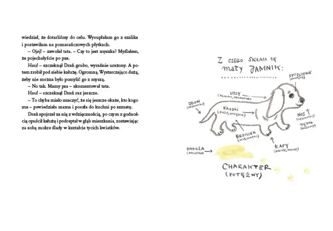 Drań, czyli moje życie z jamnikiem