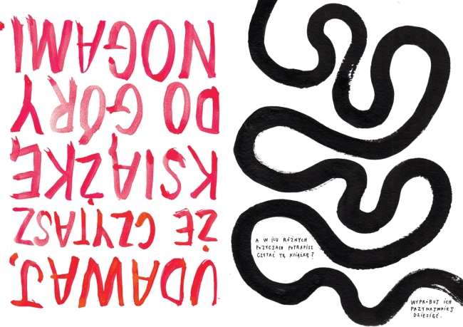 Wykończ tę książkę. Jak zakumplować się z książką z obrazkami