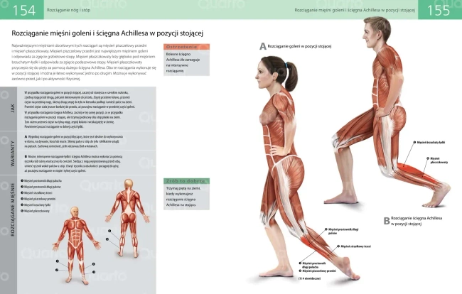 Anatomia stretchingu. 50 podstawowych ćwiczeń wzmacniających i zwiększających elastyczność