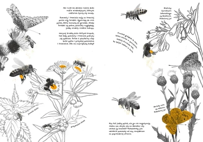 Działka. Ćwiczenia przyrodnicze dla pięciolatków