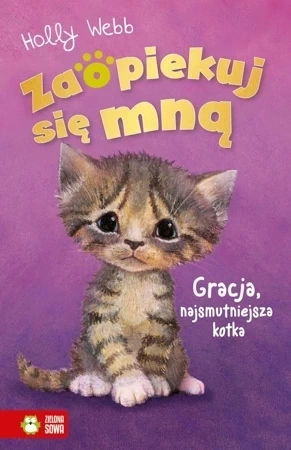 Gracja, najsmutniejsza kotka. Zaopiekuj się mną