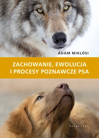 Zachowanie, ewolucja i procesy poznawcze psa