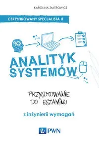 Analityk systemów