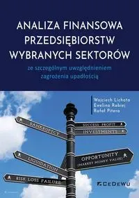 Analiza finansowa przedsiębiorstw wybranych..