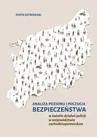 Analiza poziomu i poczucia bezpieczeństwa..