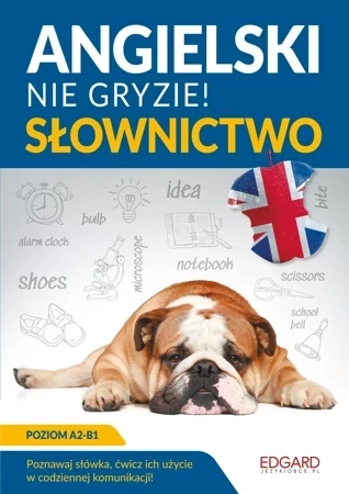 Angielski. Słownictwo. Nie gryzie!