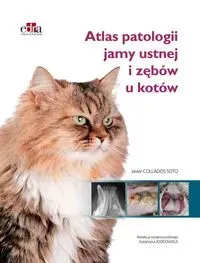 Atlas patologii jamy ustnej i zębów u kotów