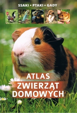 Atlas zwierząt domowych (dodruk 2018)