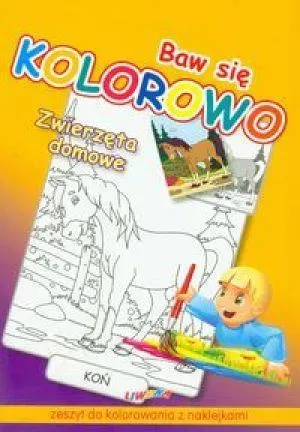 Baw się kolorowo - Zwierzęta domowe LIWONA