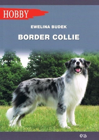 Border Collie dodruk 2023