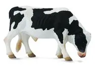 Byk Friesian