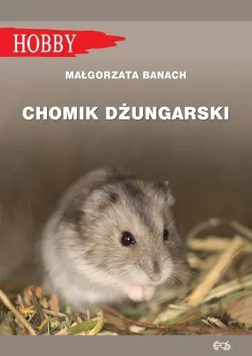 Chomik Dżungarski