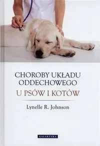 Choroby układu oddechowego u psów i kotów