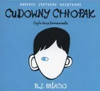 Cudowny chłopak audiobook