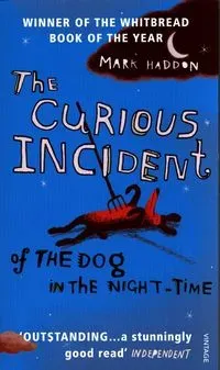 Curious Incident of the Dog in Night-Time