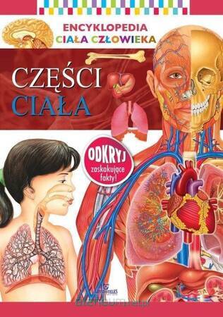 Części ciała. Encyklopedia ciała człowieka