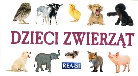 Dzieci zwierząt – rozkładanka