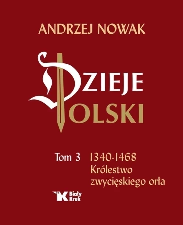 Dzieje Polski t.3 1340-1468 Królestwo zwycięskiego orła