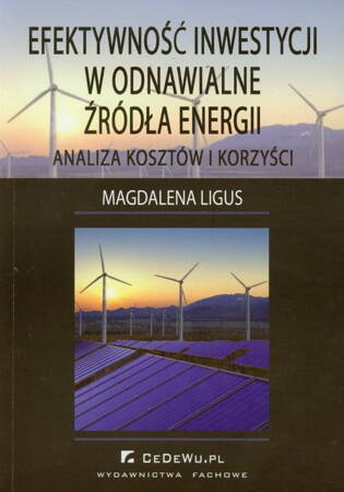 Efektywność Inwestycji W Odnawialne Źródła Energii