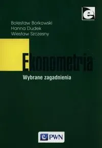 Ekonometria Wybrane zagadnienia