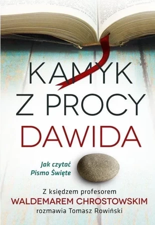 Kamyk z procy dawida jak czytać Pismo Święte