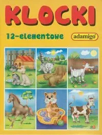 Klocki - 12 elementowe, różne rodzaje