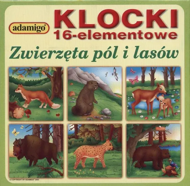 Klocki - 16 elementowe, różne rodzaje