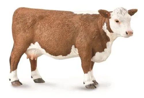 Krowa Hereford 004-88860