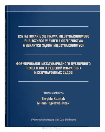 Kształtowanie się prawa międzynarodowego publicznego w świetle orzecznictwa wybranych sądów międzynarodowych