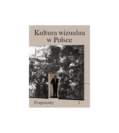 Kultura wizualna w Polsce. Fragmenty