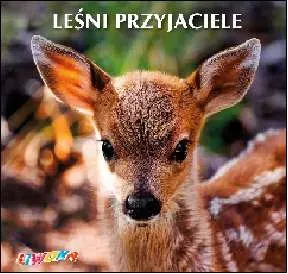 Leśni przyjaciele