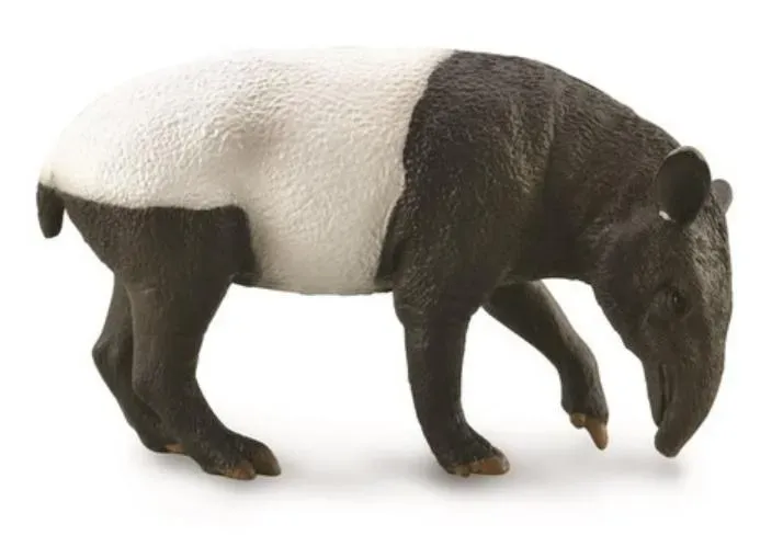 Malayan Tapir