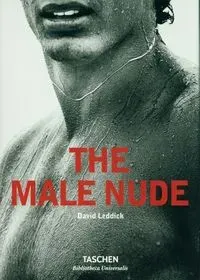 Male Nude