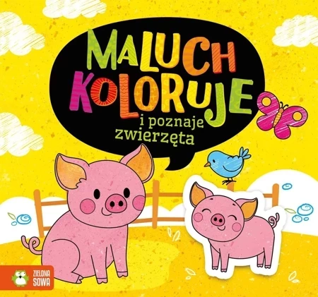 Maluch koloruje i poznaje zwierzęta