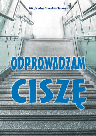 Odprowadzam ciszę