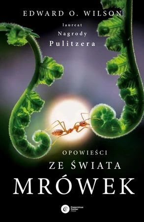 Opowieści ze świata mrówek