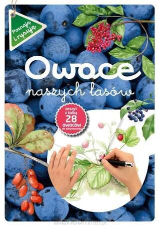 Owoce naszych lasów