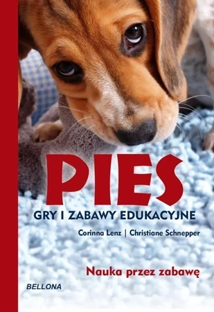 Pies. Gry i zabawy edukacyjne