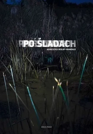 Po śladach