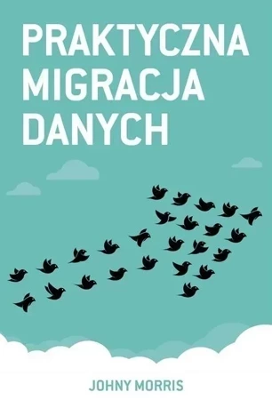 Praktyczna migracja danych