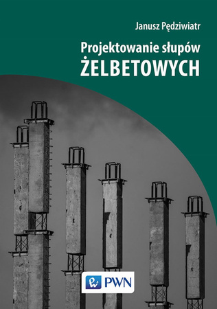 Projektowanie Słupów Żelbetowych